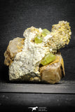 22114 - Lustrous Yellow Green Apatite Crystals on Brecciated Matrix - Imilchil (Morocco)