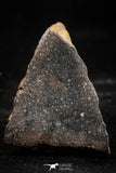 06007 - Beautiful Polished Section NWA Unclassified L-H Type Ordinary Chondrite Meteorite 14.0g