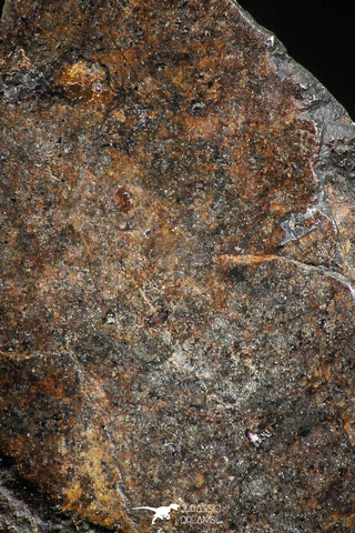 06008 - Beautiful Polished Section NWA Unclassified L-H Type Ordinary Chondrite Meteorite 12.0g