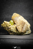 22114 - Lustrous Yellow Green Apatite Crystals on Brecciated Matrix - Imilchil (Morocco)