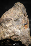 06008 - Beautiful Polished Section NWA Unclassified L-H Type Ordinary Chondrite Meteorite 12.0g