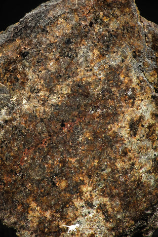 06009 - Beautiful Polished Section NWA Unclassified L-H Type Ordinary Chondrite Meteorite 10.0g