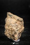 06009 - Beautiful Polished Section NWA Unclassified L-H Type Ordinary Chondrite Meteorite 10.0g