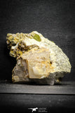 22114 - Lustrous Yellow Green Apatite Crystals on Brecciated Matrix - Imilchil (Morocco)