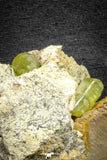 22114 - Lustrous Yellow Green Apatite Crystals on Brecciated Matrix - Imilchil (Morocco)