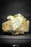 22114 - Lustrous Yellow Green Apatite Crystals on Brecciated Matrix - Imilchil (Morocco)
