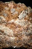 06014 - Rare Spinosaurus - Crocodile 0.91 Inch Coprolite with Digested Fish Scales