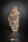88811 - Unclassified NWA 36 g Chondrite L-H Type Meteorite Sahara Fall