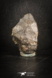88812 - Unclassified NWA 24 g Chondrite L-H Type Meteorite Sahara Fall