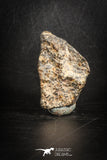 88812 - Unclassified NWA 24 g Chondrite L-H Type Meteorite Sahara Fall