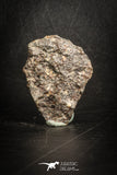 88813 - Unclassified NWA 12 g Chondrite L-H Type Meteorite Sahara Fall