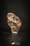 88818 - Unclassified NWA 3 g Chondrite L-H Type Meteorite Sahara Fall