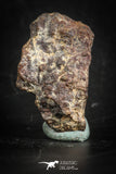 88820 - Unclassified NWA 6 g Chondrite L-H Type Meteorite Sahara Fall