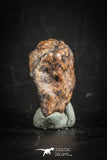 88821 - Unclassified NWA 3 g Chondrite L-H Type Meteorite Sahara Fall
