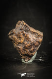 88822 - Unclassified NWA 1 g Chondrite L-H Type Meteorite Sahara Fall