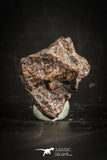 88822 - Unclassified NWA 1 g Chondrite L-H Type Meteorite Sahara Fall