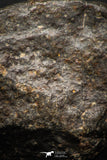 06579 - Fully Complete NWA L-H Type Unclassified Ordinary Chondrite Meteorite 52.0g