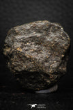 06579 - Fully Complete NWA L-H Type Unclassified Ordinary Chondrite Meteorite 52.0g