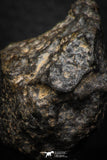 06579 - Fully Complete NWA L-H Type Unclassified Ordinary Chondrite Meteorite 52.0g