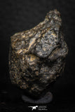 06579 - Fully Complete NWA L-H Type Unclassified Ordinary Chondrite Meteorite 52.0g
