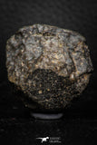 06579 - Fully Complete NWA L-H Type Unclassified Ordinary Chondrite Meteorite 52.0g