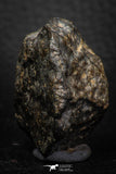 06579 - Fully Complete NWA L-H Type Unclassified Ordinary Chondrite Meteorite 52.0g