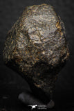 06579 - Fully Complete NWA L-H Type Unclassified Ordinary Chondrite Meteorite 52.0g