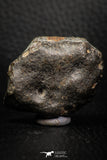 06580 - Fully Complete NWA L-H Type Unclassified Ordinary Chondrite Meteorite 42.0g