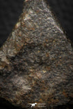 06581 - Fully Complete NWA L-H Type Unclassified Ordinary Chondrite Meteorite 69.0g