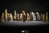 22153 - Nice Collection of 15 Primitive Tools Neolithic - South Morocco