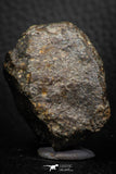 06581 - Fully Complete NWA L-H Type Unclassified Ordinary Chondrite Meteorite 69.0g