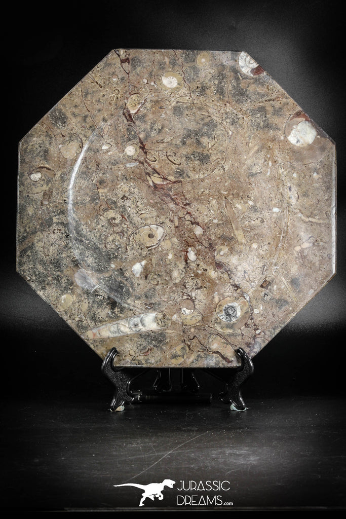 88887 - Top Beautiful Decorative Polished Octagon Shaped Plate with Devonian Fossils