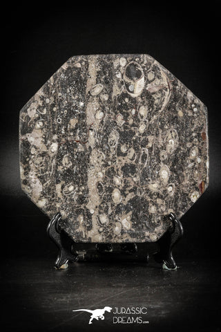 88888 - Top Beautiful Decorative Polished Octagon Shaped Plate with Devonian Fossils