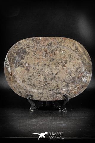 88890 - Top Beautiful Decorative Polished Oval Shaped Plate with Devonian Fossils