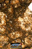 09183 - NWA 12893 L6-S3-W2 Melt Breccia Chondrite 37.47 g Exclusive More than Half Part of The Main Mass