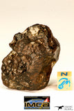 09183 - NWA 12893 L6-S3-W2 Melt Breccia Chondrite 37.47 g Exclusive More than Half Part of The Main Mass