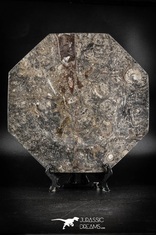 88893 - Top Beautiful Decorative Polished Octagon Shaped Plate with Devonian Fossils