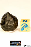09184 - Top Rare NWA 12778 Carbonaceous Chondrite Meteorite CM2 Type  3.63g