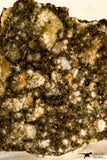 09185 - Lunar Meteorite "NWA 12870" 0.78 g (Feldspathic Breccia) Thin Section