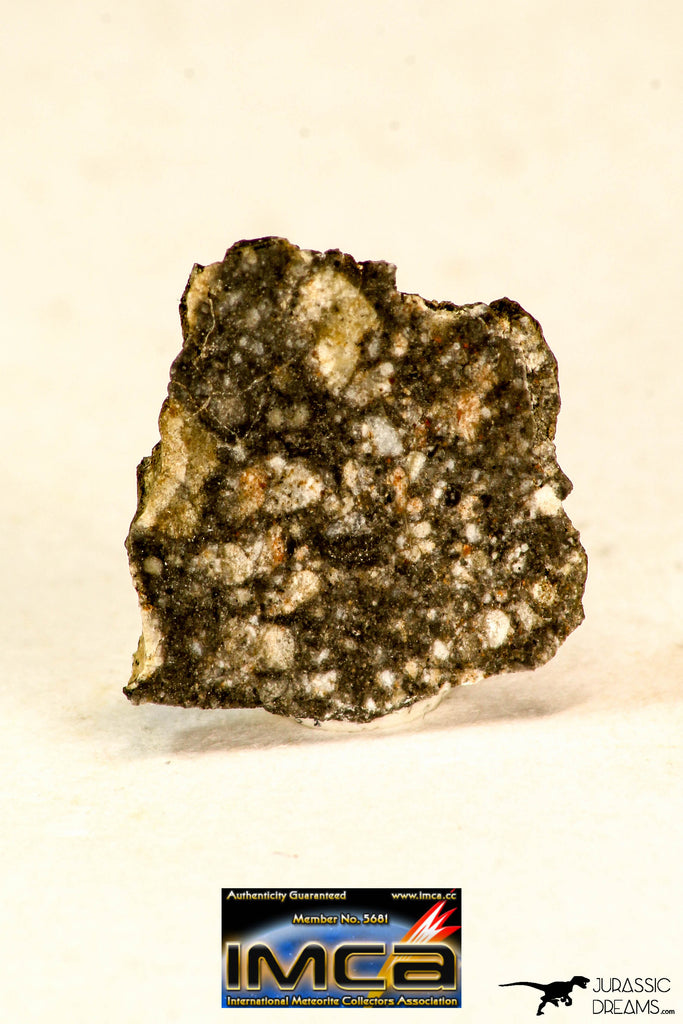 09185 - Lunar Meteorite "NWA 12870" 0.78 g (Feldspathic Breccia) Thin Section