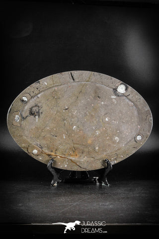 88901 - Top Beautiful Decorative Polished Oval Shaped Plate with Devonian Fossils