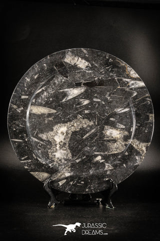 88907 - Top Beautiful Decorative Polished Circle Shaped Plate with Devonian Fossils
