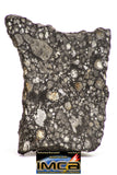 08850 - Top Rare Polished Thin Section NWA Carbonaceous Chondrite CV3 Type  5.117g