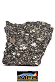 08851 - Top Rare Polished Thin Section NWA Carbonaceous Chondrite CV3 Type  5.317g