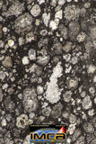08852 - Top Rare Polished Thin Section NWA Carbonaceous Chondrite CV3 Type  5.403g