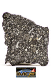 08852 - Top Rare Polished Thin Section NWA Carbonaceous Chondrite CV3 Type  5.403g