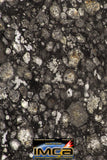 08852 - Top Rare Polished Thin Section NWA Carbonaceous Chondrite CV3 Type  5.403g