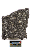 08852 - Top Rare Polished Thin Section NWA Carbonaceous Chondrite CV3 Type  5.403g