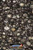 08853 - Top Rare Polished Thin Section NWA Carbonaceous Chondrite CV3 Type - 7.482 g