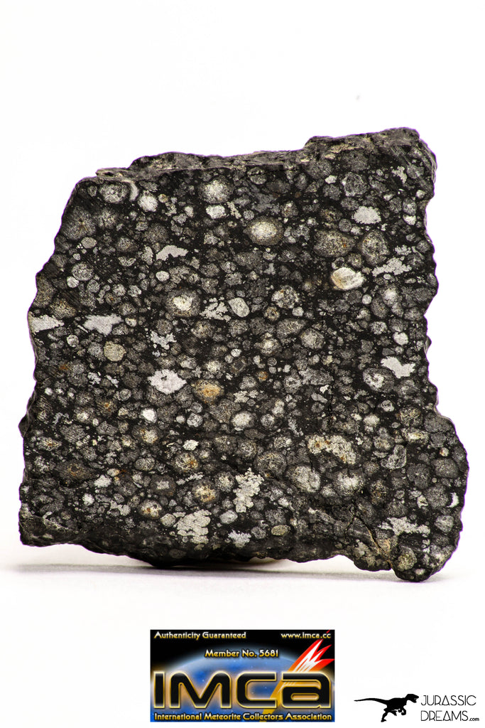 08853 - Top Rare Polished Thin Section NWA Carbonaceous Chondrite CV3 Type - 7.482 g